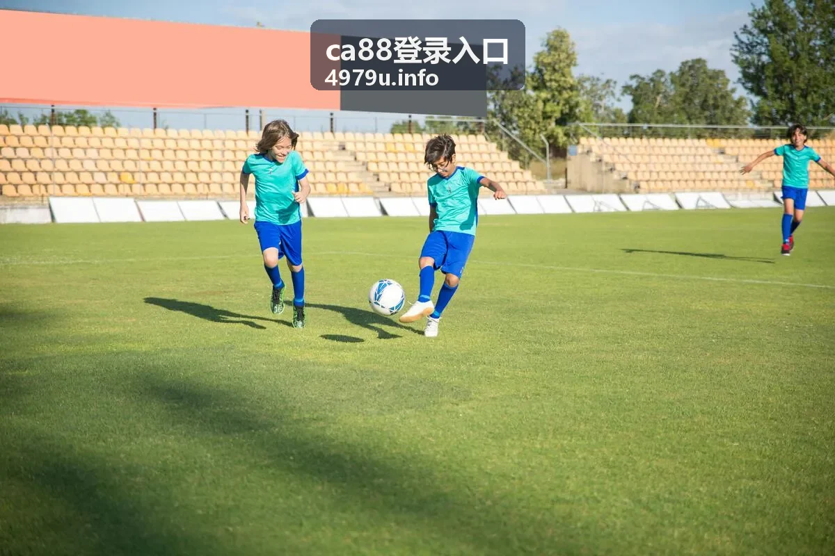 ca88登录入口规则说明